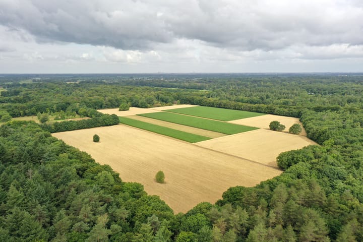 Photo 22 of Vaartweg 181