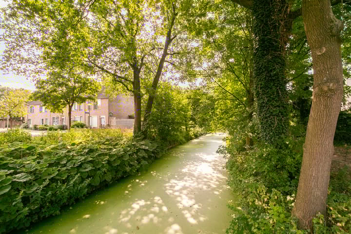 Foto 25 van Willem van Otterloostraat 120