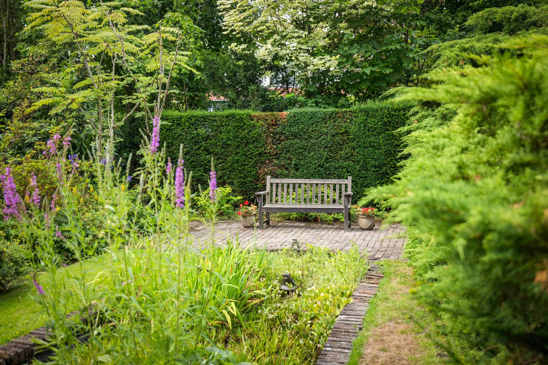 Photo 42 of Jachtrustweg 1