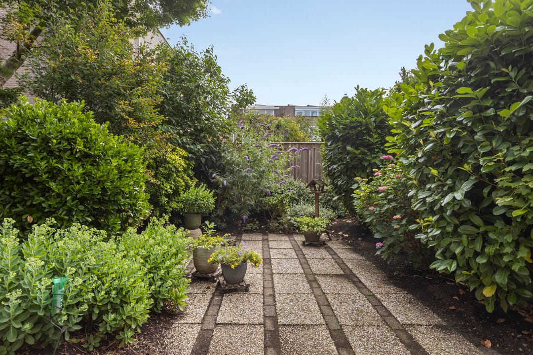 Foto 2 van Braamkamp 155