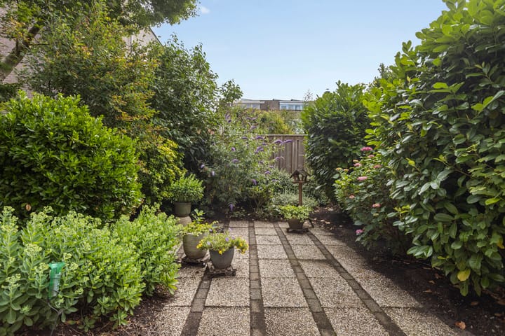 Foto 2 van Braamkamp 155