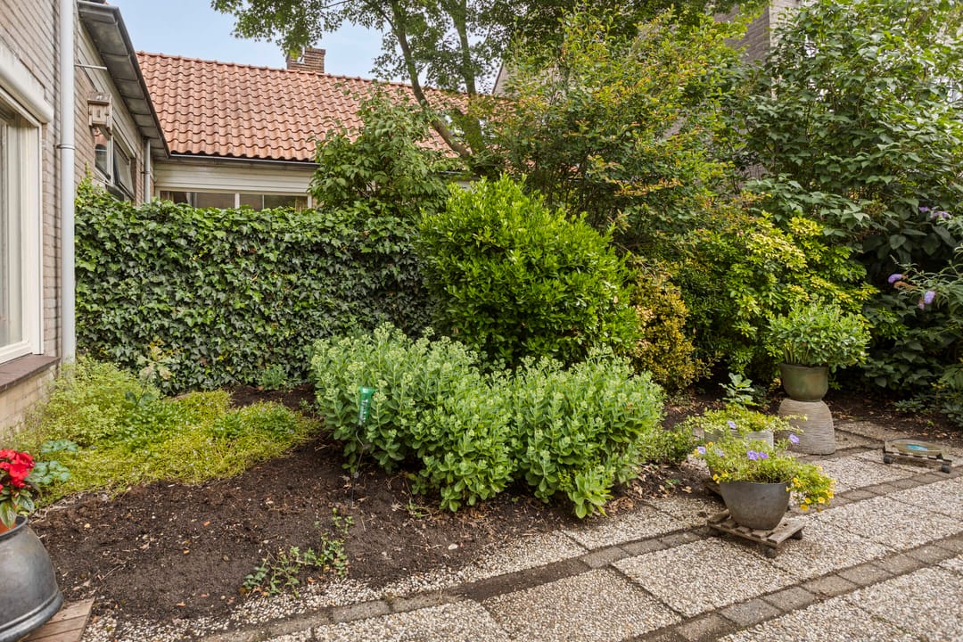 Foto 31 van Braamkamp 155