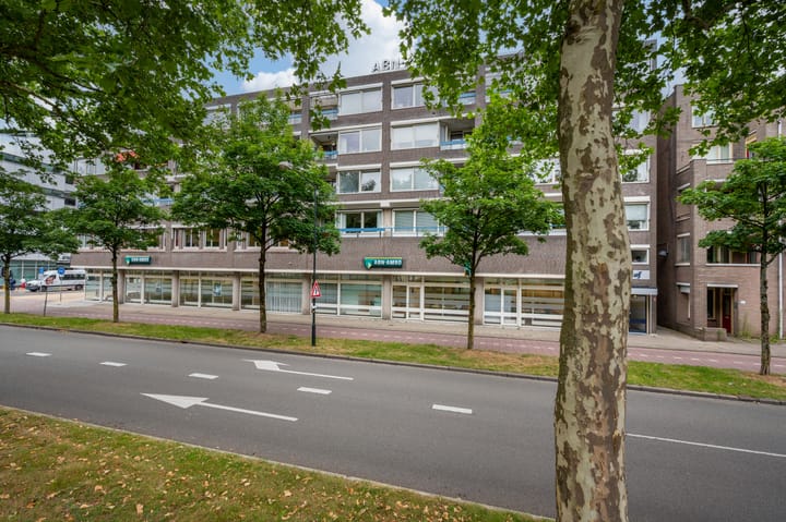 Foto 18 van Prins Willem-Alexanderlaan 35