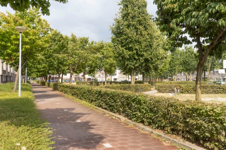 Foto 42 van Twijnderstraat 126