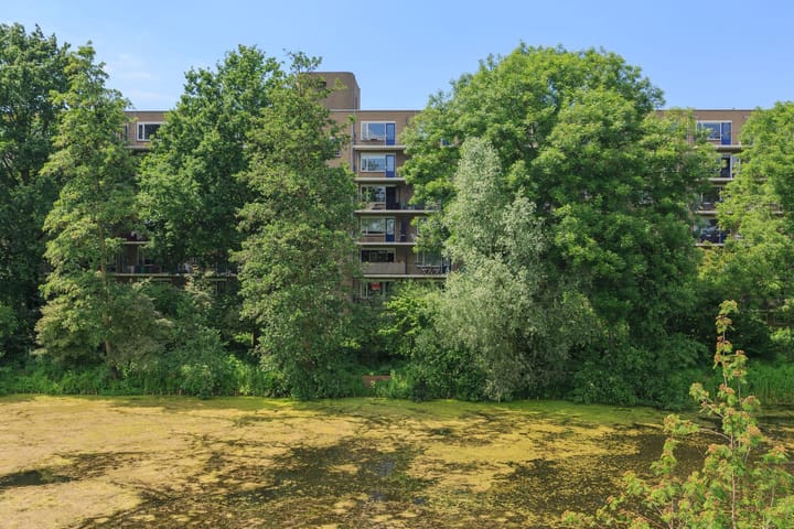 Foto 15 van Aert van Neslaan 638