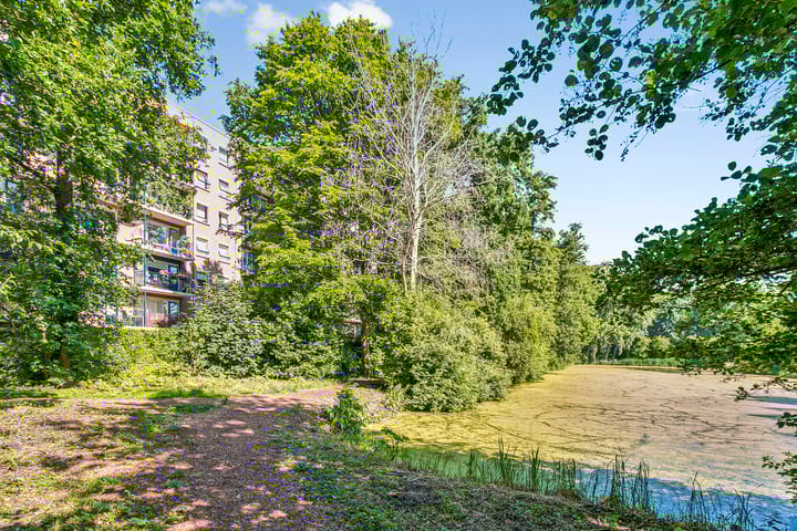 Foto 17 van Aert van Neslaan 638