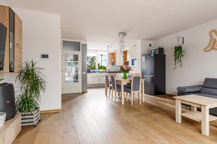 Foto 7 van Punter 48 25