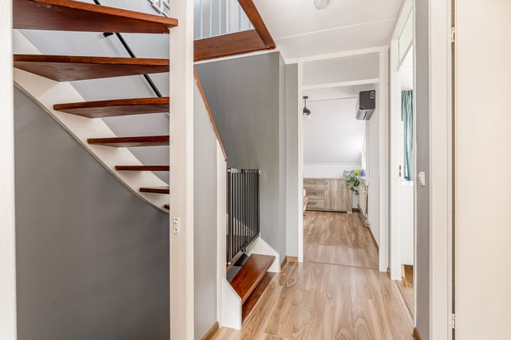 Foto 12 van Punter 48 25