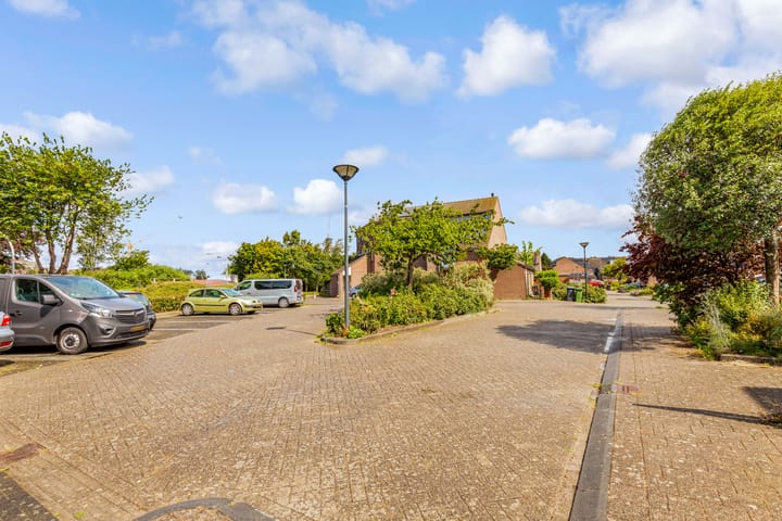 Foto 38 van Punter 48 25