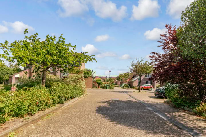 Foto 39 van Punter 48 25