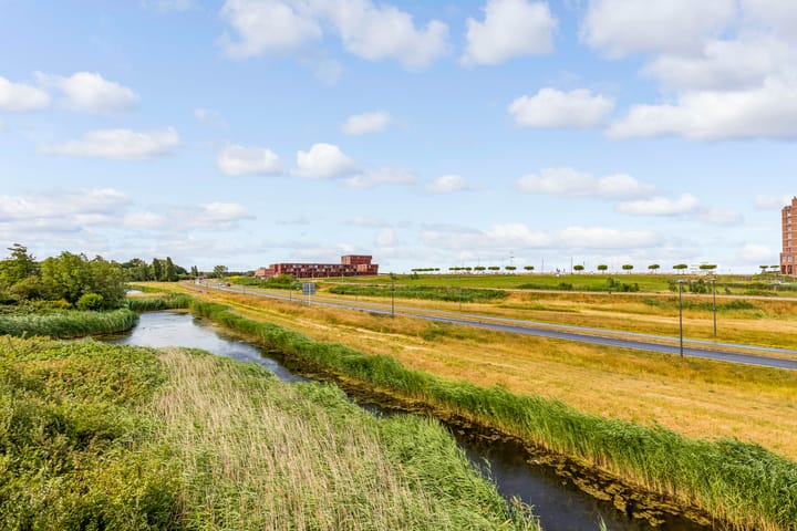 Foto 41 van Punter 48 25