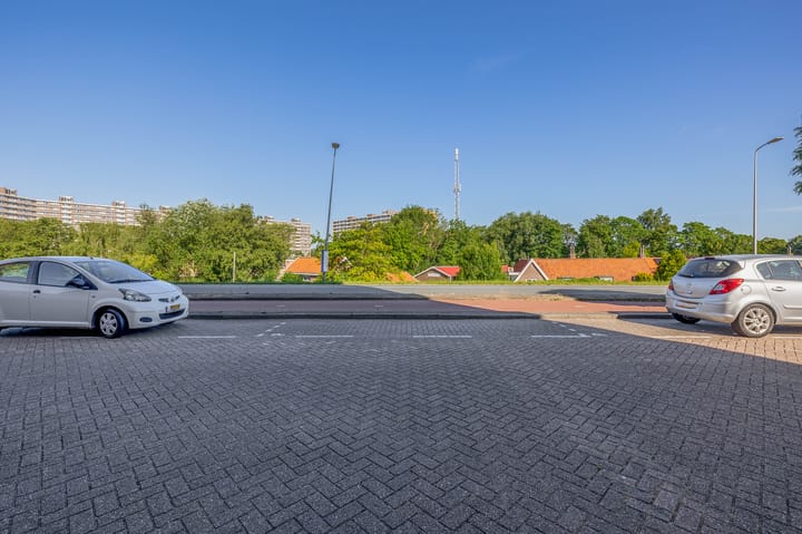 Foto 9 van Ketensezoom 82