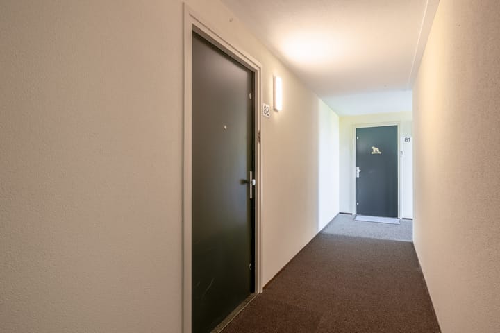 Foto 13 van Ketensezoom 82