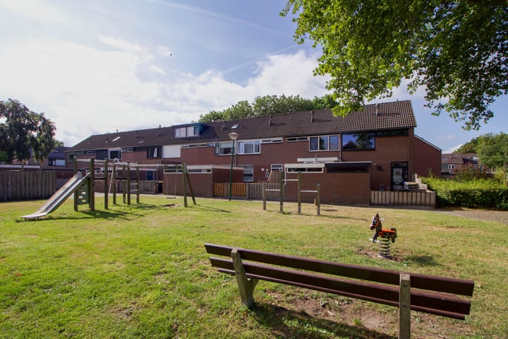 Foto 1 van Haydnplantsoen 51