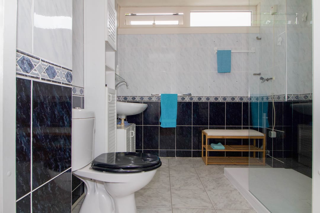 Photo 23 of Haydnplantsoen 51