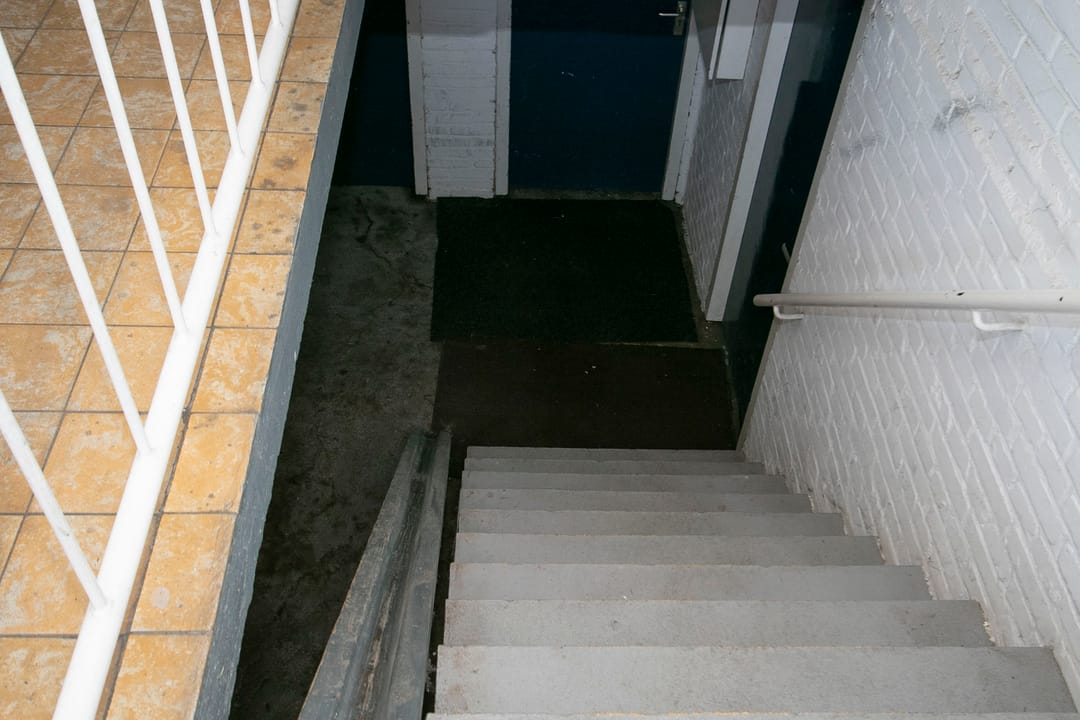 Photo 28 of Dries 85