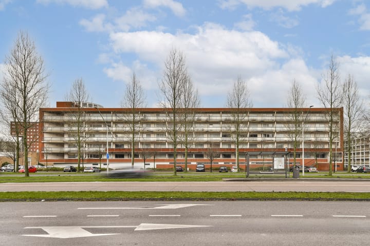 Foto 20 van Oeverpad 253