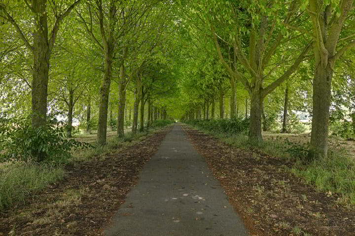 Foto 16 van Singel 17