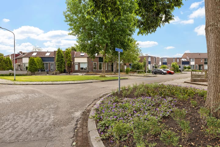 Photo 6 of Ganzenerf 113