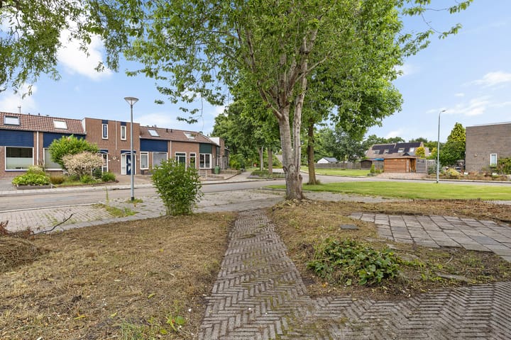 Photo 11 of Ganzenerf 113