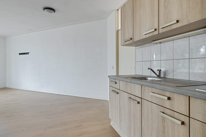 Photo 30 of Ganzenerf 113