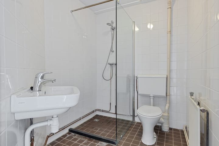 Photo 42 of Ganzenerf 113