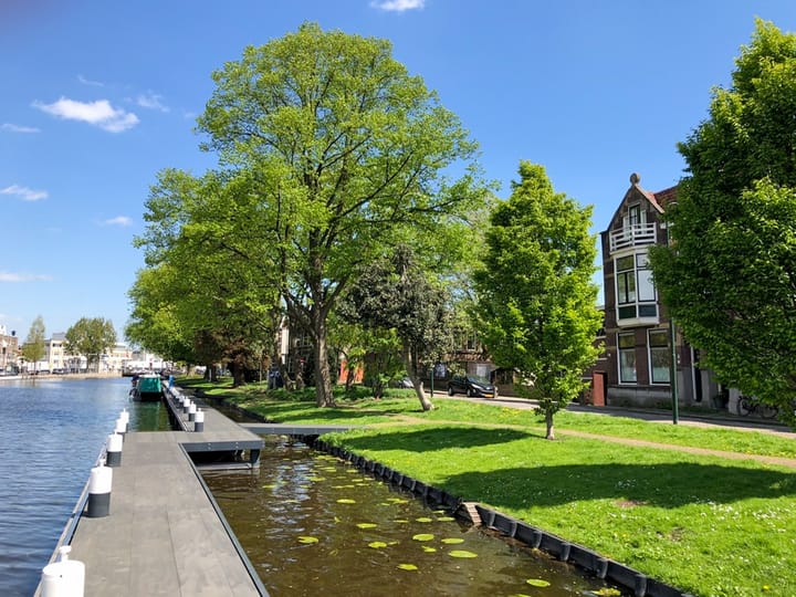 Foto 2 van Regentesseplantsoen 26