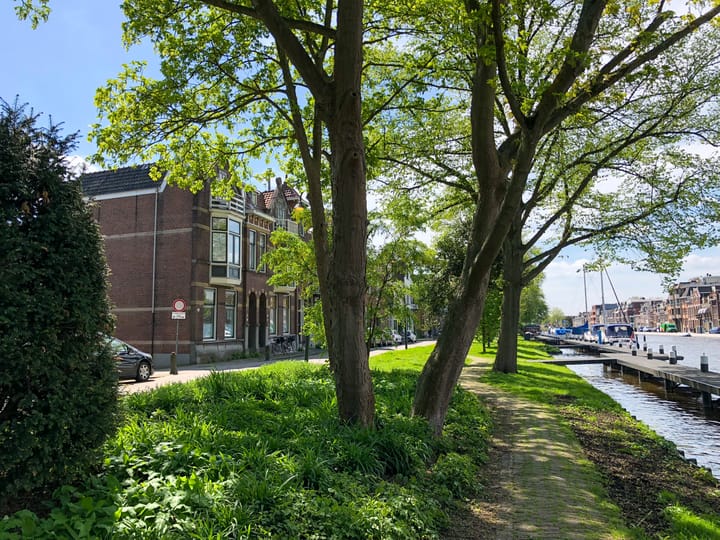 Foto 64 van Regentesseplantsoen 26