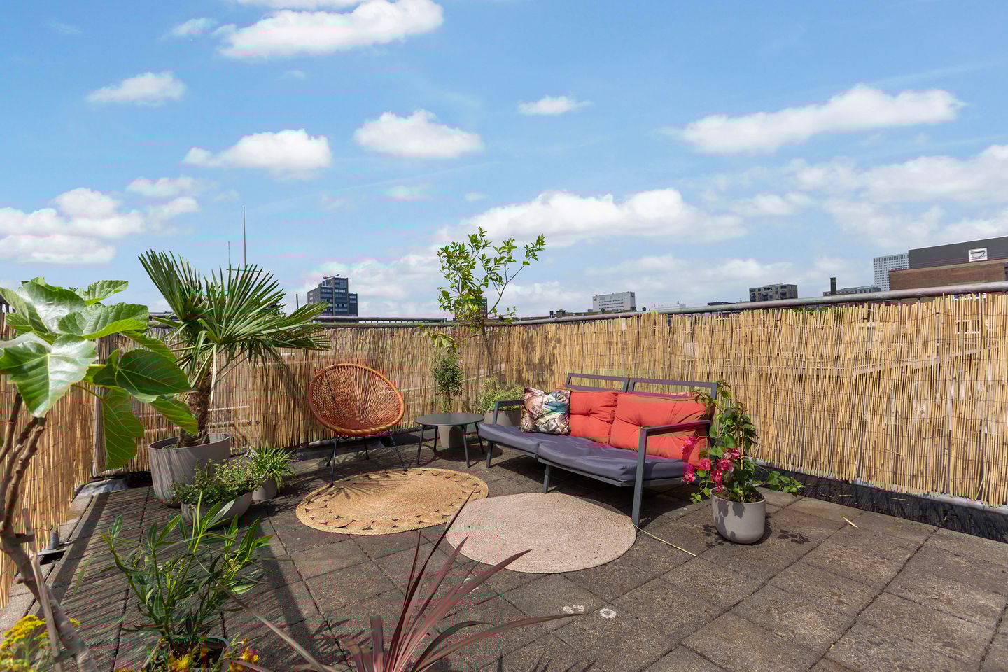 Foto 35 van Pieter de Hoochweg 116-B