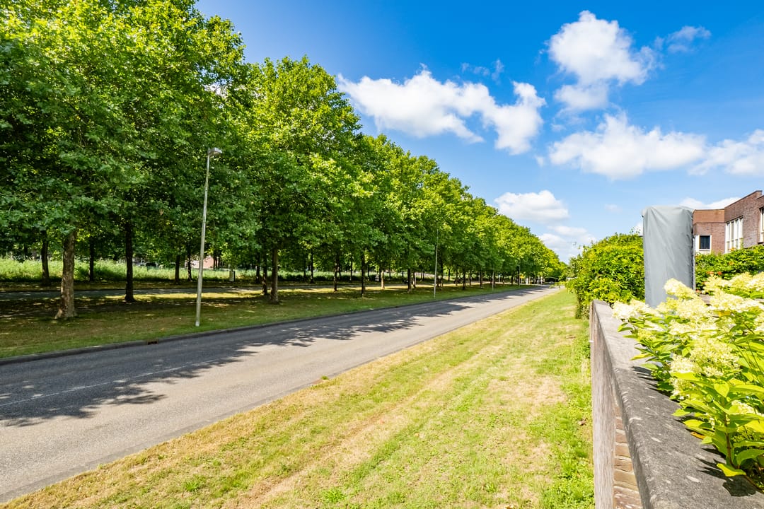 Foto 41 van Ruijgenhoeksepolder 16