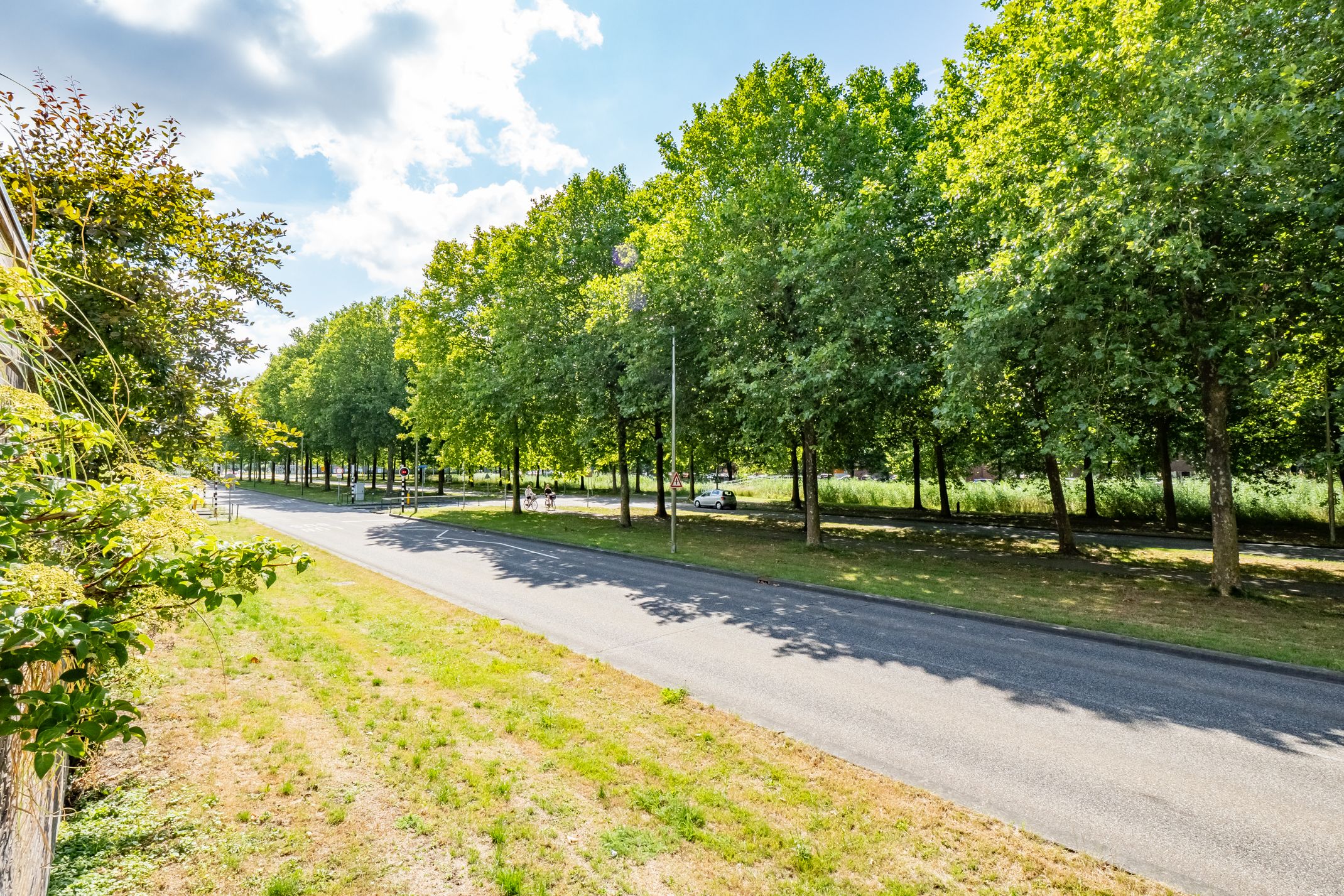 Foto 42 van Ruijgenhoeksepolder 16