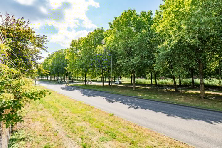 Foto 42 van Ruijgenhoeksepolder 16