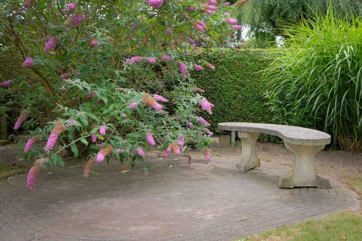 Foto 43 van Kastanjelaan 2