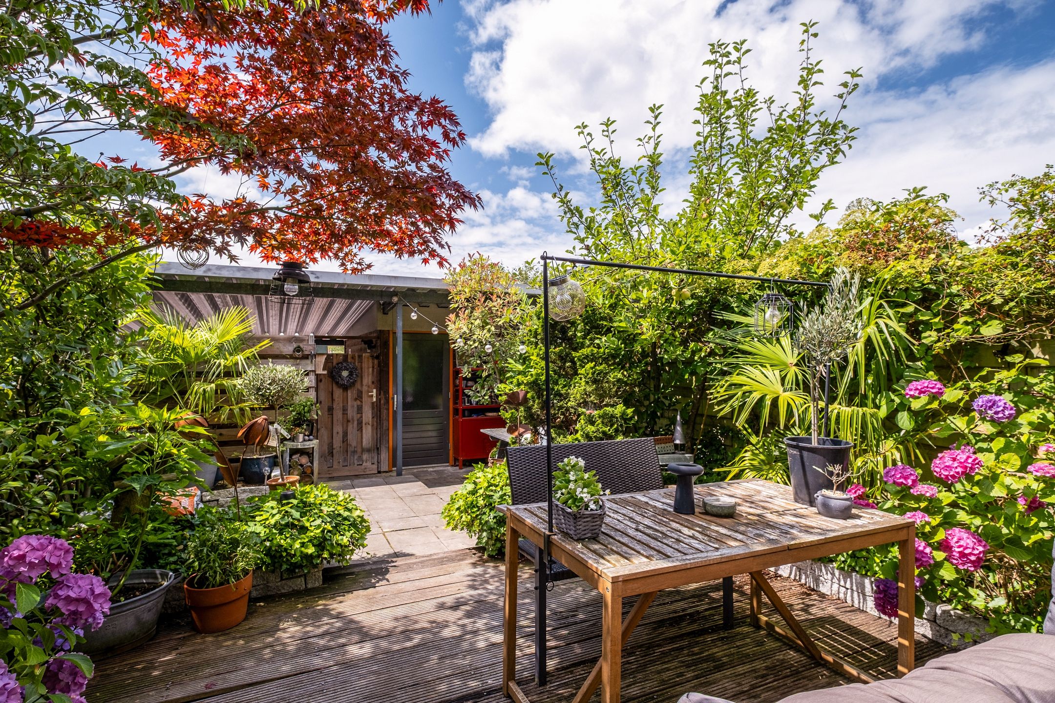 Photo 3 of Twistvlietpad 47