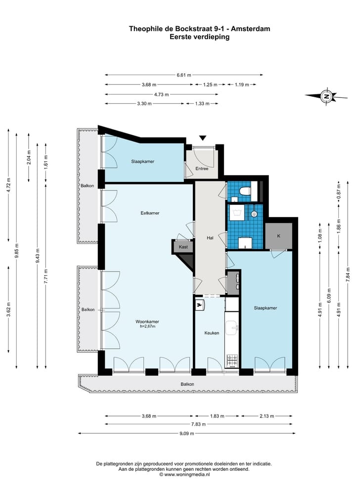 Foto 40 van Theophile de Bockstraat 9-1