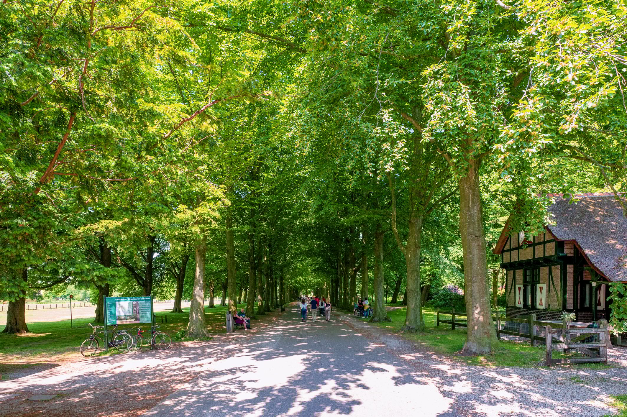 Foto 24 van Thérèse Schwartzestraat 122