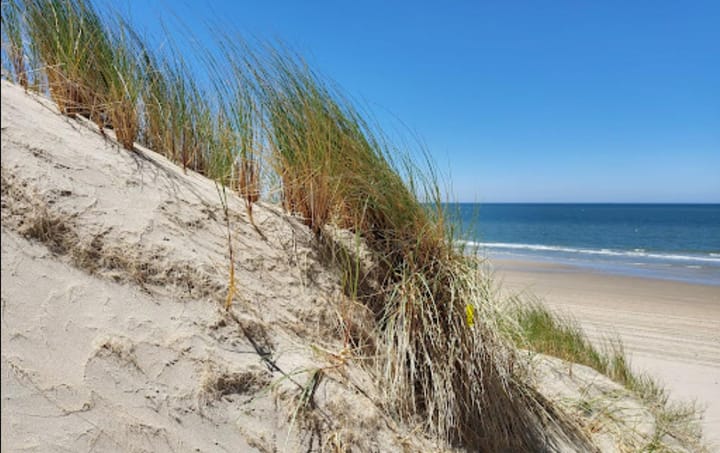 Foto 52 van Hobbesteeg 6