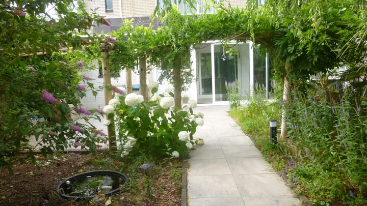 Foto 10 van De Kwikstaart 26