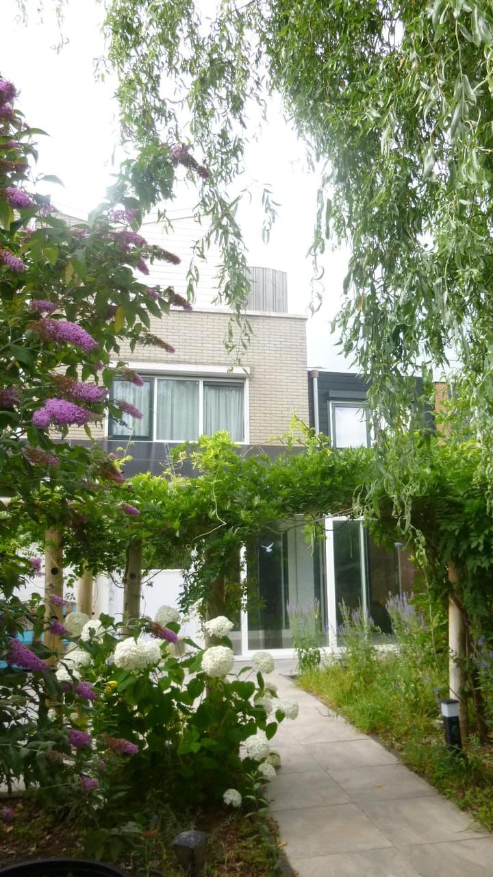 Foto 11 van De Kwikstaart 26