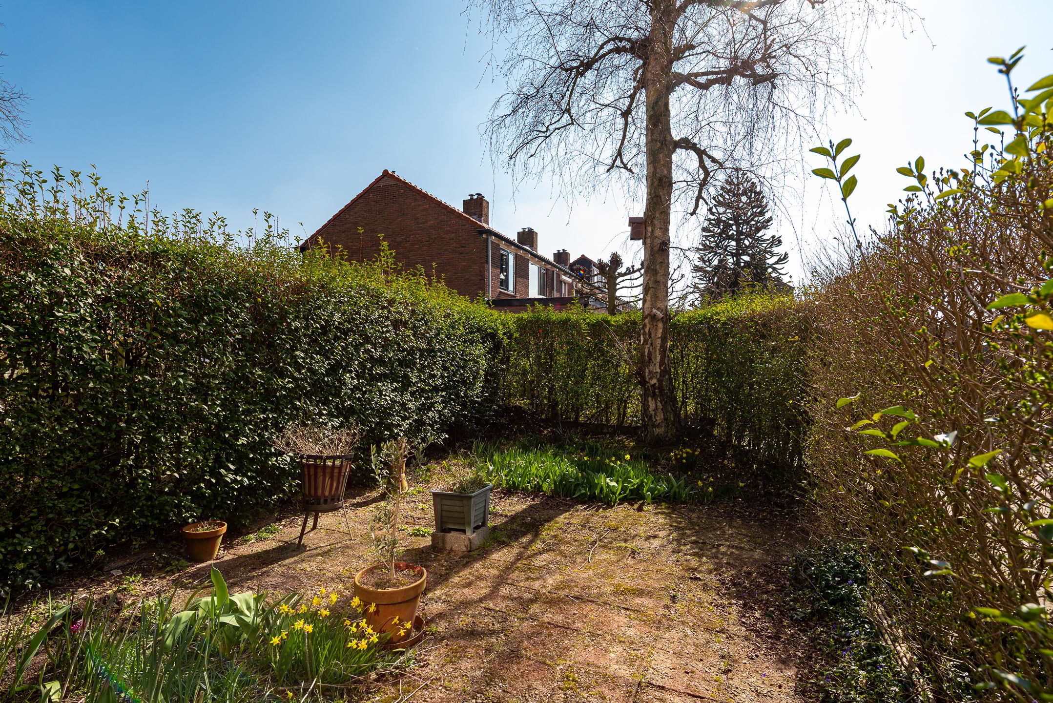 Foto 21 van Berlagelaan 239