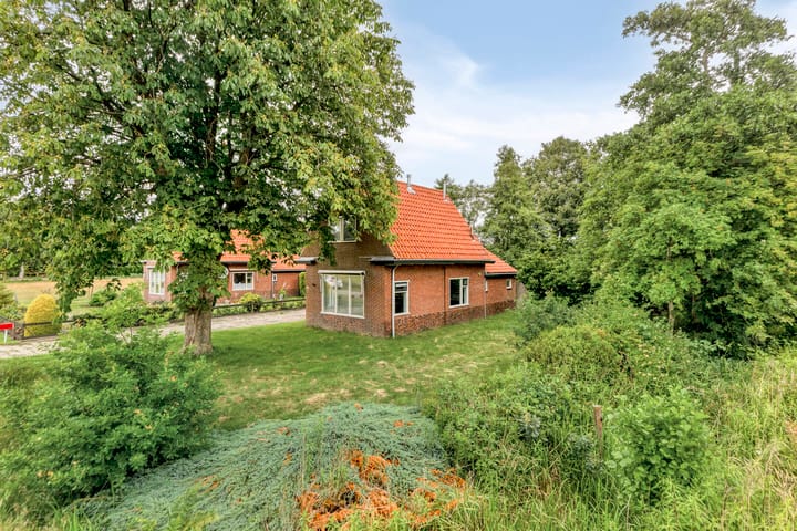 Foto 2 van Frijstêd 12