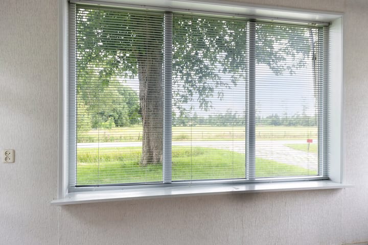 Foto 9 van Frijstêd 12