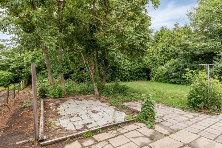 Foto 25 van Frijstêd 12