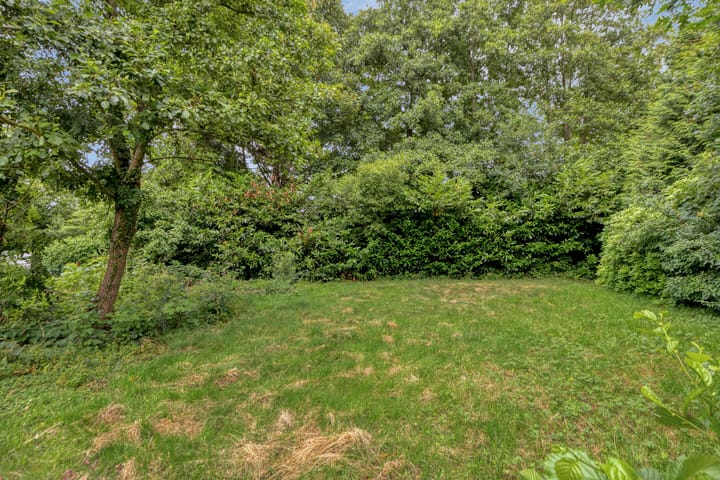 Foto 26 van Frijstêd 12