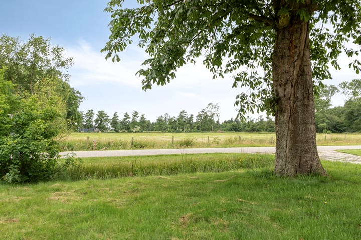 Foto 28 van Frijstêd 12