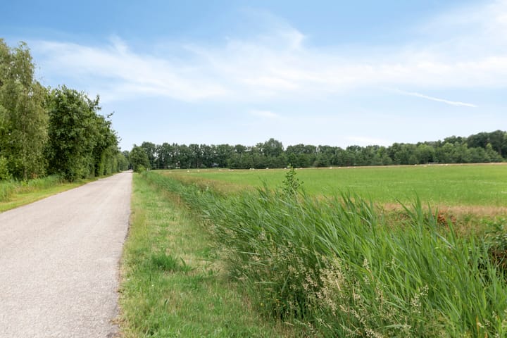 Foto 29 van Frijstêd 12