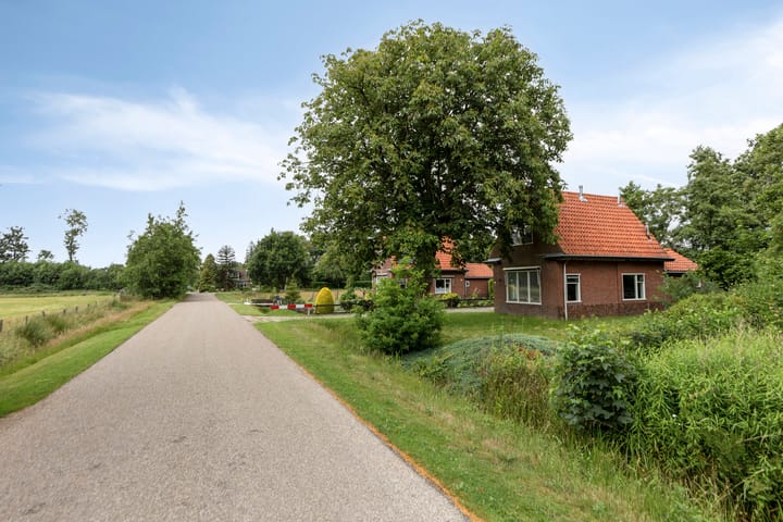 Foto 30 van Frijstêd 12