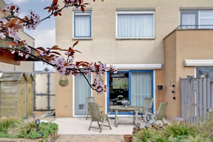 Foto 33 van Waterlijn 8