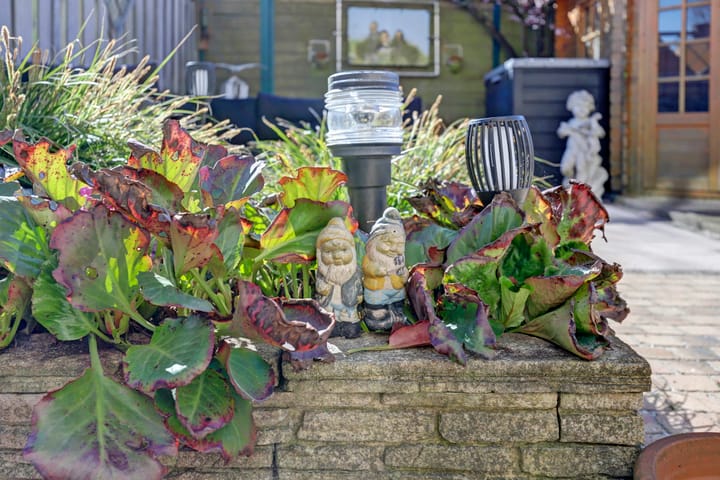 Foto 34 van Waterlijn 8