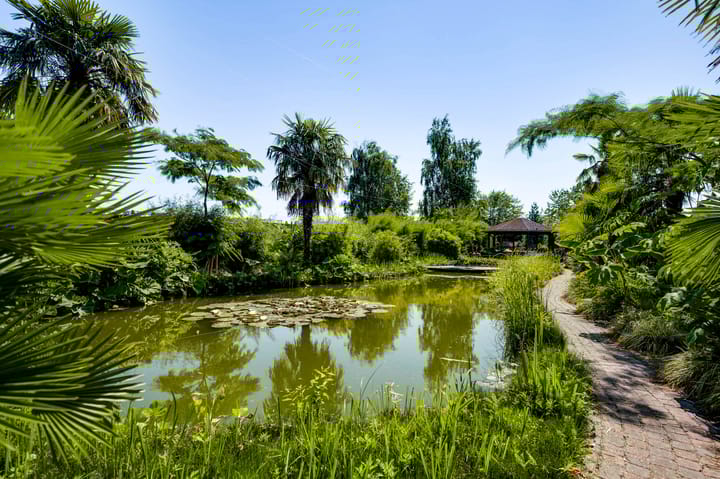 Foto 37 van Keenterstraat 10